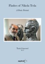 Flashes of Nikola Tesla - A Poetic Portrait